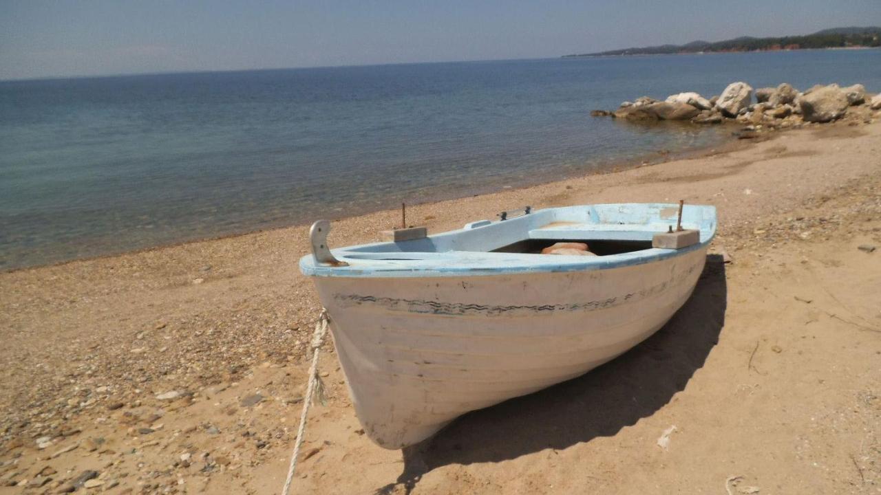 Finikas Garden Nikiti (Sithonia)