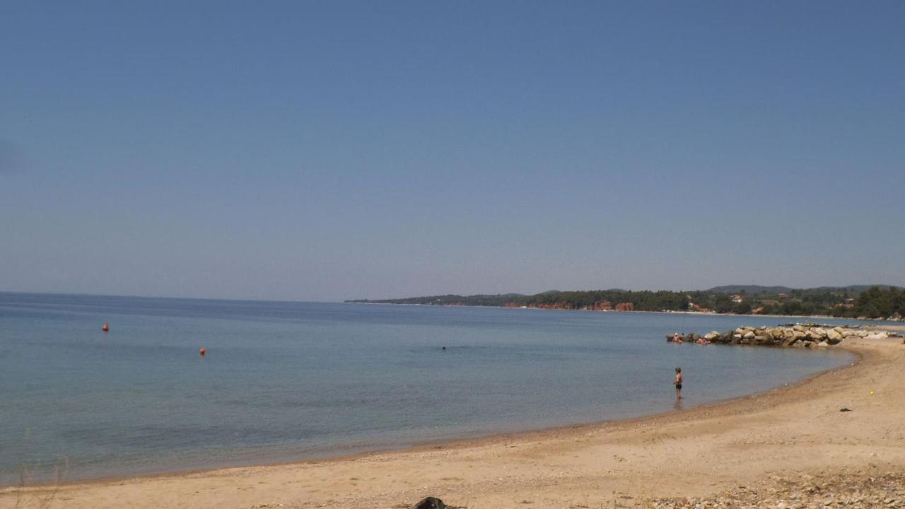 Finikas Garden Apartment Nikiti (Sithonia)